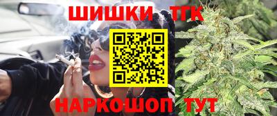 дживик Моздок