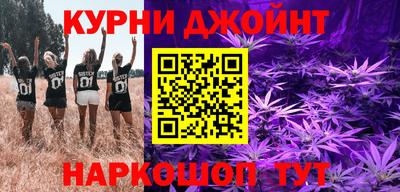 дживик Моздок