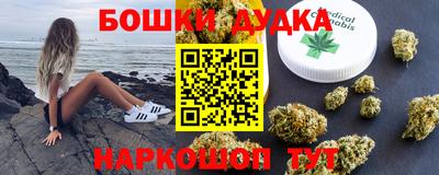 дживик Моздок